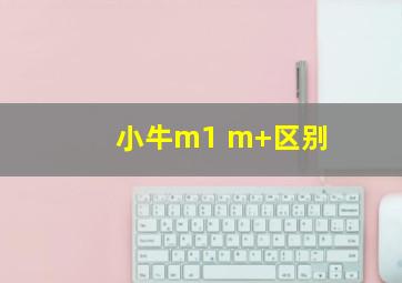 小牛m1 m+区别